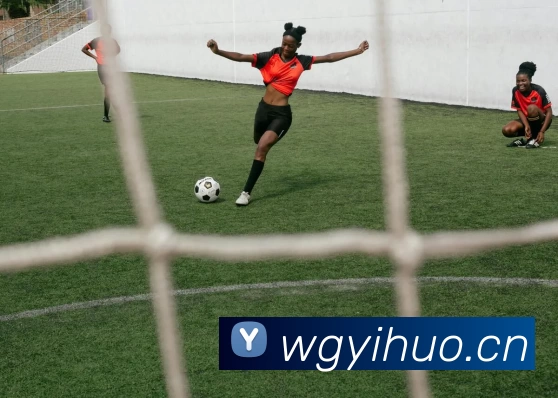 多媒体互动体验